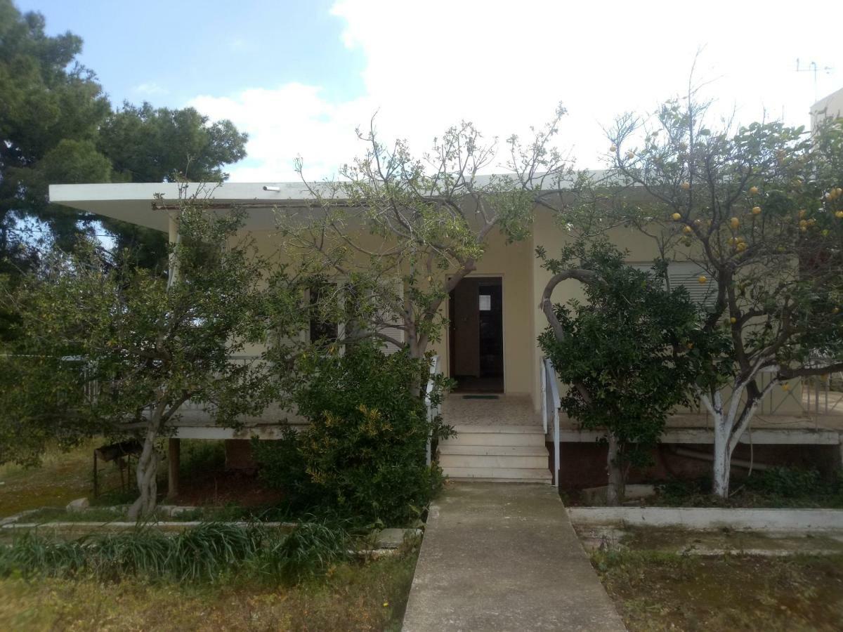 Vangelis House Near Athens Airport Artemida  Ngoại thất bức ảnh